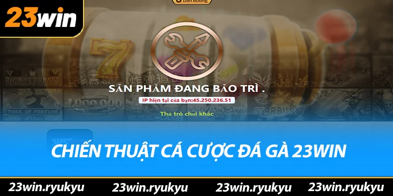 Đá Gà 23win - Địa Điểm Cá Cược Trực Tuyến Hấp Dẫn Năm 2026 - YEXIX Đá Gà 23win - Địa Điểm Cá Cược Trực Tuyến Hấp Dẫn Năm 2026 - YEXIX