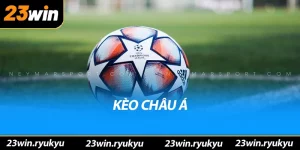 Blog 23win - Trang tổng Hợp Các Trò Chơi Casino Nổi Bật - YEXIX