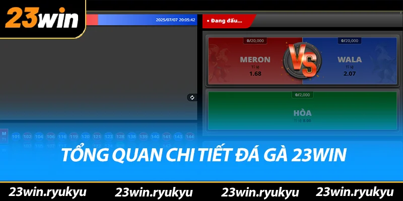 Đá Gà 23win - Địa Điểm Cá Cược Trực Tuyến Hấp Dẫn Năm 2026 - YEXIX Đá Gà 23win - Địa Điểm Cá Cược Trực Tuyến Hấp Dẫn Năm 2026 - YEXIX